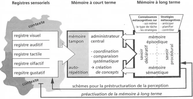 Figure 2 : Le modèle du traitement de l’information (Büchel et Büchel, 2011, p.16). 
