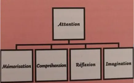 Figure 3 : Schéma présentant les cinq gestes mentaux selon De La Garanderie. Tombez, 2015, p