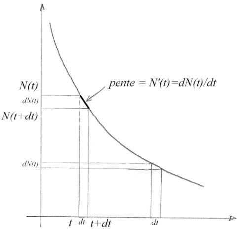 Figure 3 : Illustration de la variation du nombre de noyaux N(t) sur un tout petit intervalle de temps dt