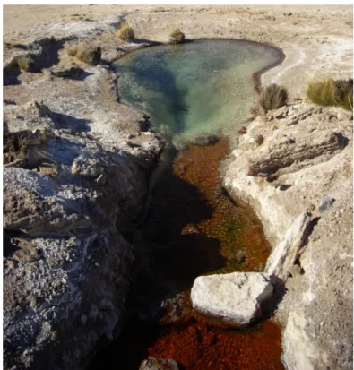 Figure 4.1. Geothermal pond at Lirima, Chile 