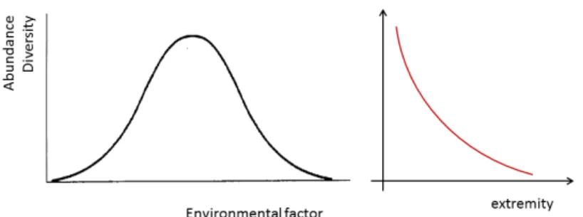 Figure 1.1. Theoretical curves representing abundance and diversity of  species. At extreme values of a given environmental factor, both  abundance and diversity are lower