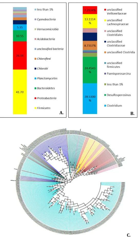 Figure 2.3. Analysis of pyrosequencing results obtained from 16S rRNA gene and spo0A amplicons, from an  environmental  sample  with  high  prevalence  of  endospore‐forming  Firmicutes  (Nea  Apollonia,  NAP)
