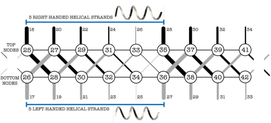 Figure 4.1 – HEC lattice. This graph shows how data blocks dependencies build a helical lattice.