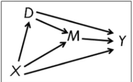 Figure 1. Causal paths under conditional exogeneity of the mediator