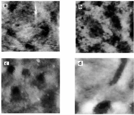 Figure 3.  AFM topography of PE films: a) untreated, b) after one irradiation cycle, c)  after three irradiation cycles, d) after two brominations cycle 9 