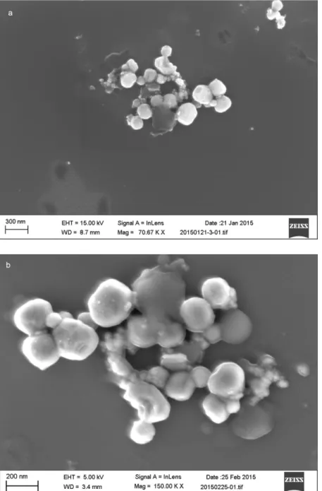 Figure S9. SEM image taken before and after synchrotron radiation based PEEM experiments