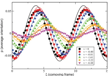 FIG. 1. Average orientation of the ABP in the coordinate system which moves with the phase velocity v of the activity wave