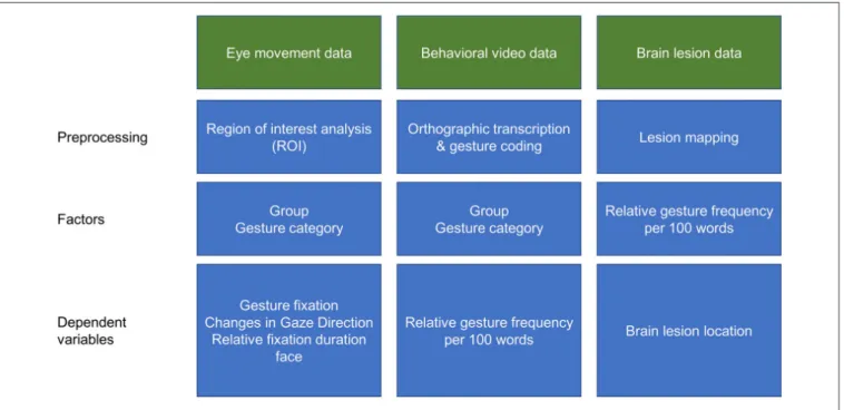 FIGURE 1 | Schematic illustration of the data analyses procedures.