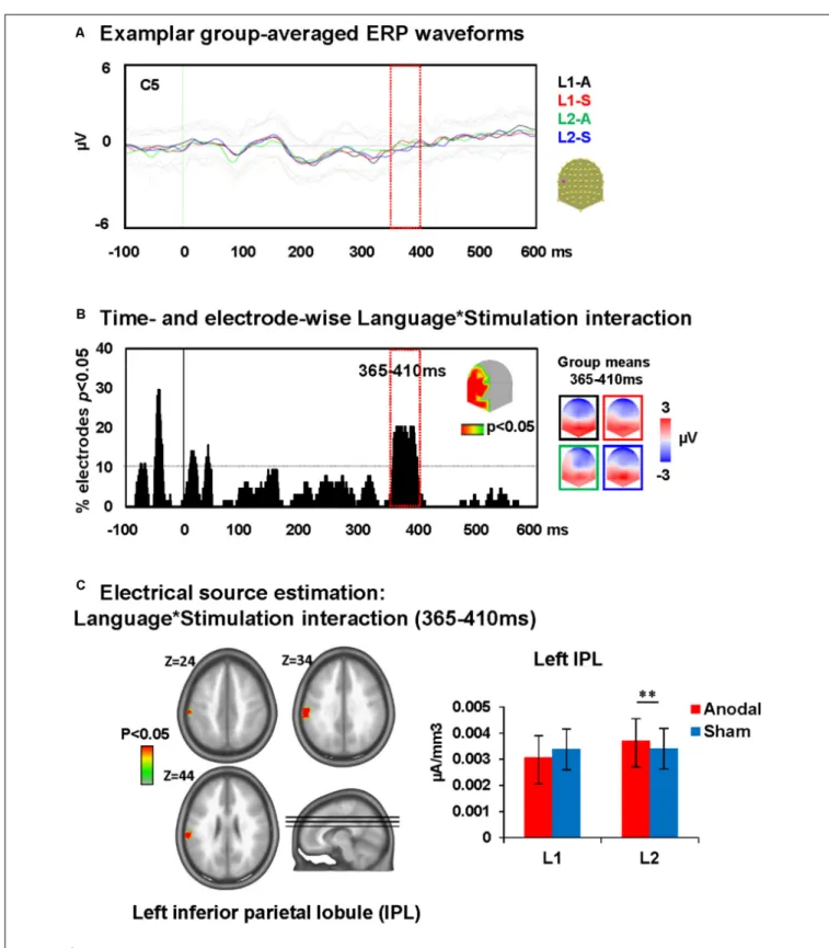 FIGURE 4 | Electrical neuroimaging results: effects of DLPFC tDCS on picture naming ERP modulations