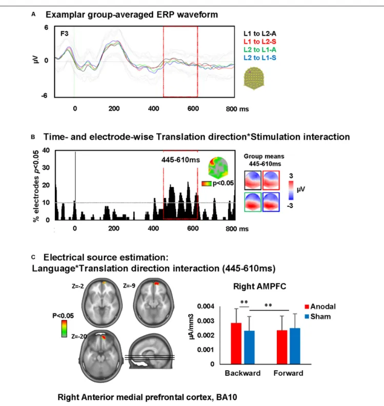 FIGURE 5 | Electrical neuroimaging results: effects of DLPFC tDCS on translation ERP modulations