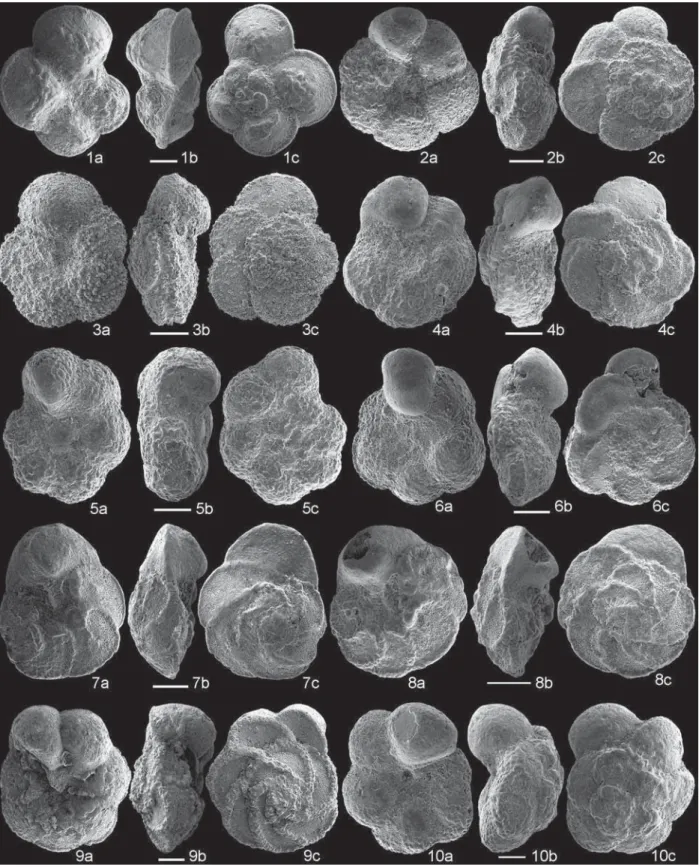 Fig. 4. Planktonic foraminiferal specimens from the Eastbourne section. (1a–c) Rotalipora cushmani, sample GC-600 (0 m, base of the section)