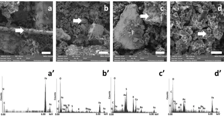 Fig. 1    SEM micrographs of nLM (a, b) with corresponding EDS spectra (a’, b’), NAO sample (c) with corresponding EDS spectrum (c’) and  1–2 µm size fraction of sfLM sample (d) with corresponding EDS spectrum (d’)