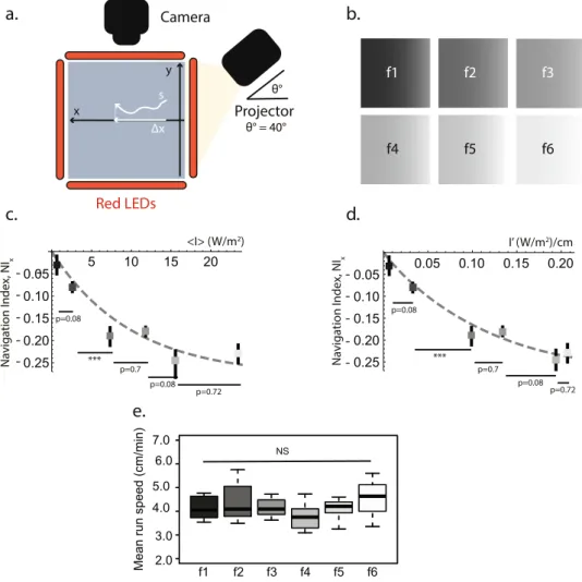 Figure 1.  Larval navigation depends on the absolute light intensity and the gradient of the light field