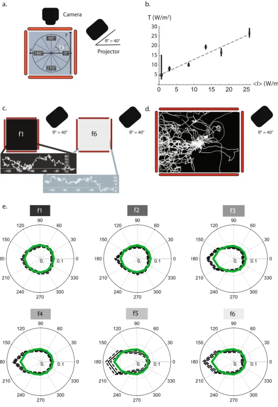 Figure 4.  The model yields simulated larvae with similar navigation characteristics to the experimental larvae