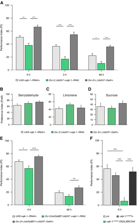 Figure 4 Expression of vajk-1-RNAi in KCs causes memory impairment. (A) Flies were trained in an appetitive olfactory learning paradigm and tested 0, 3, or 48 hr later