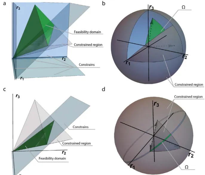 Fig. 3. Visualization of the feasibility domain with constraints imposed on energy ﬂows across trophic levels  