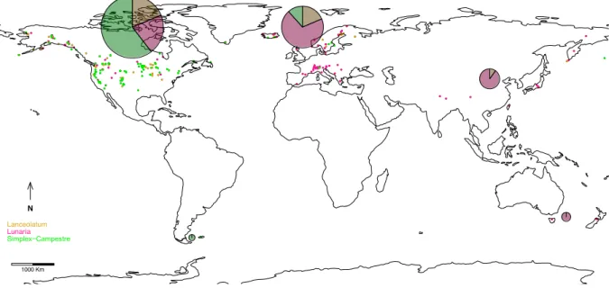 Fig. 2. Sampling and geographical distribution of haplotype numbers and their relative proportion  for each major clade: Lanceolatum (gold), Lunaria (pink), and Simplex-Campestre (green)