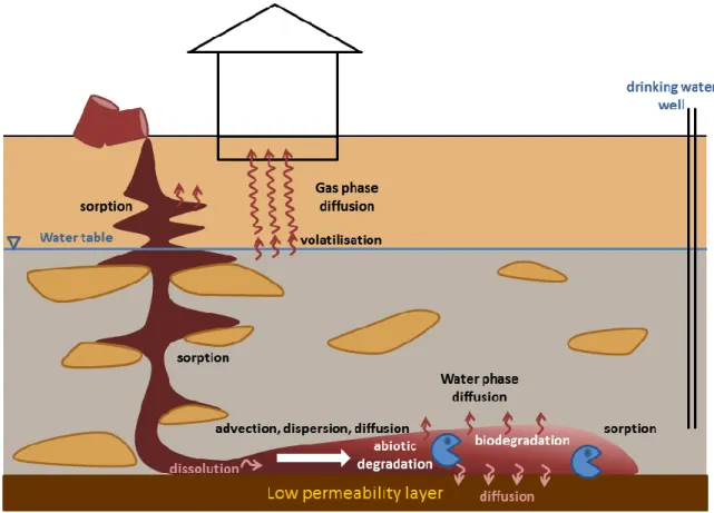 Figure 1. Summary of processes which can affect a contaminant spilled as a DNAPL in the subsurface