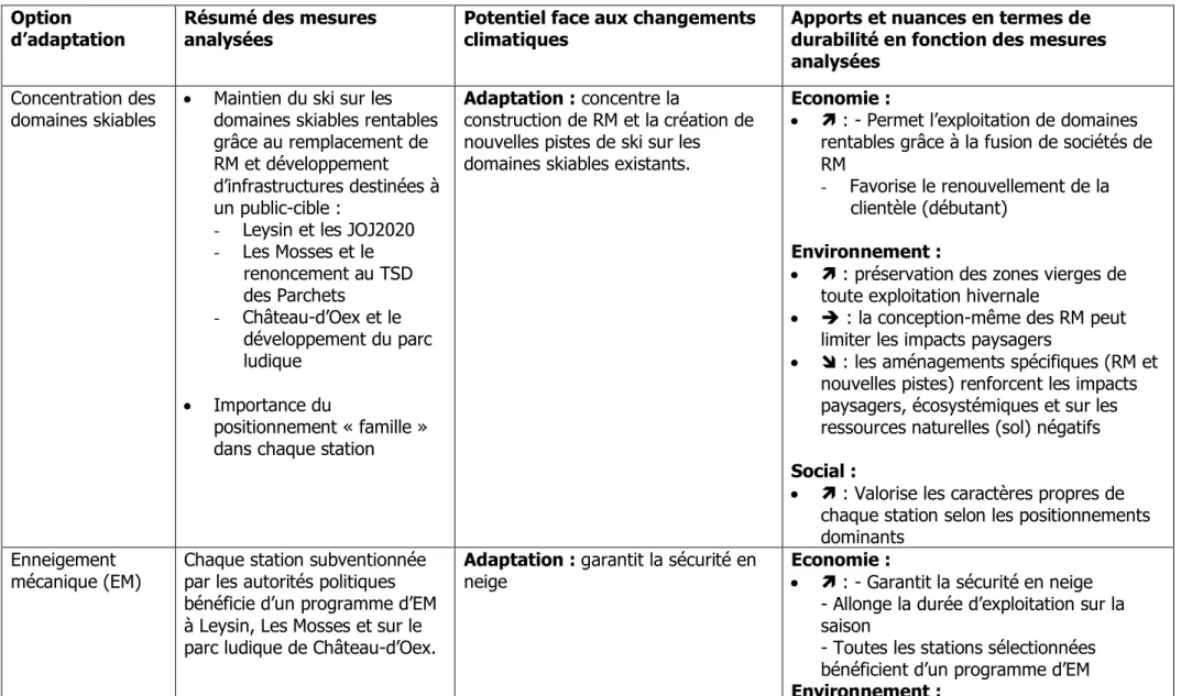 Tableau 5 : synthèse des éléments émergeant de la stratégie du maintien du ski 