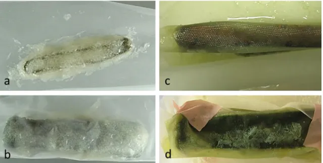 Figure 26. LAT samples treated with biopatina: A-11 (a) and F-23 (b) samples during application of Metylan® gel  and packaging with Tredegar ©  film; A-11 (c) and F-23(d) samples after 28 days of treatment 