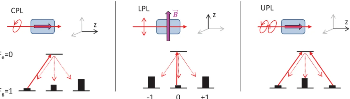Fig. 1. Example of optical pumping on an F g = 1 → F e = 0 transition with circularly polarized (left), linearly polarized (center) and unpolarized (right) light