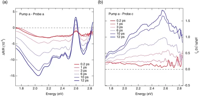 FIG. 7. Transient spectrum of R/R at different delay times for a probe polarization set along (a) the a axis and (b) the c axis