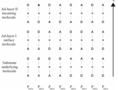Fig. 2 Schematic representation of all possible interactions and corresponding probabilities in the case of ξ = 2
