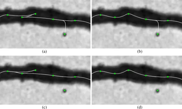 Fig. 5 Different approaches to linking a set of anchor points.