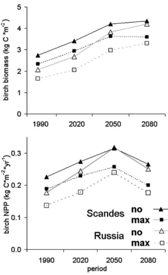 Fig. 4 Change in birch biomass and NPP over four time periods.