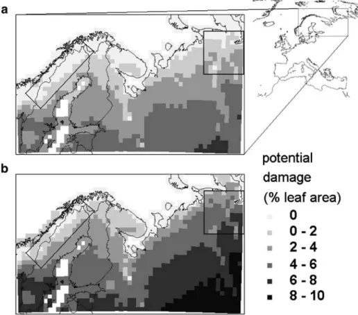 Fig. 1 Potential insect damage to Betula pubescens according to estimates from mean July temperatures (T July ): leaf area loss (%) (estimates from Kozlov this issue)