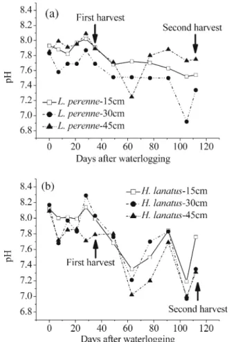 Fig. 4 Sb concentration in soil solution under waterlogged conditions in the presence of L
