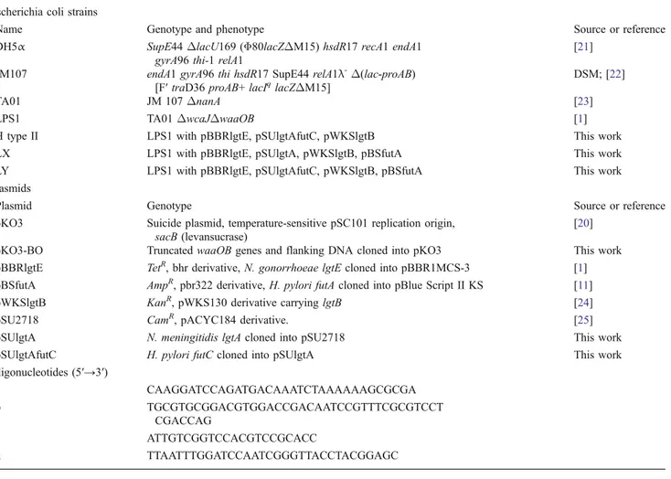 Table 1 Bacterial strains, plasmids and oligonucleotides used in this study Escherichia coli strains