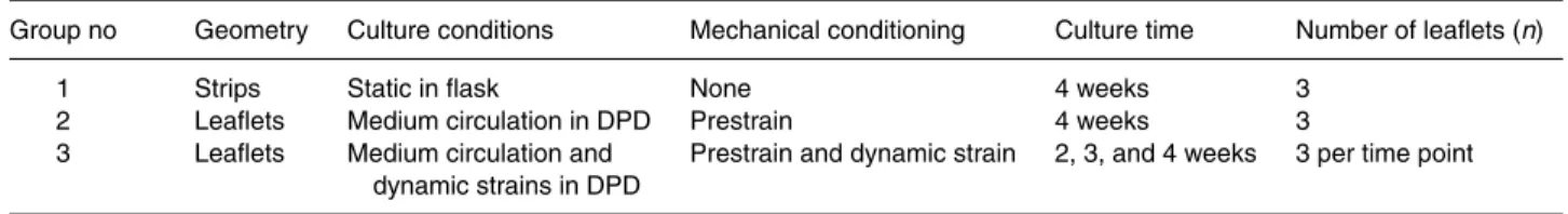 TABLE 1. Overview of the experimental groups: (1) non-loaded tissue strips, (2) leaflets exposed to prestrain in the DPD, and (3) leaflets exposed to prestrain and additional dynamic strains in the DPD.