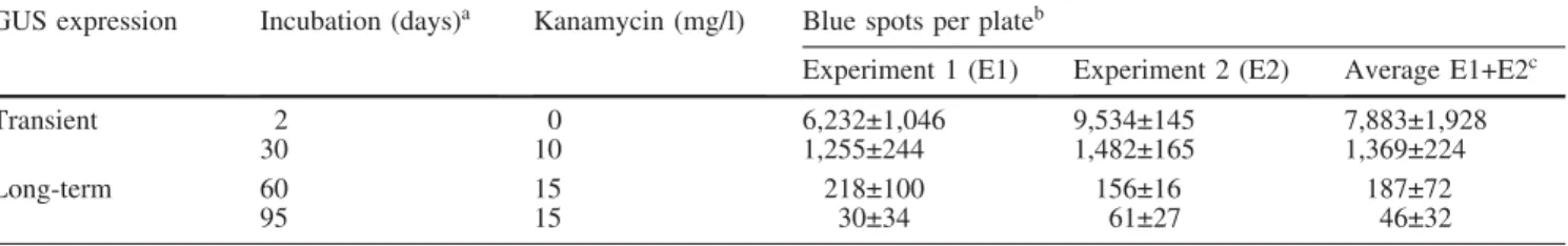 Table 1 Transient and long-term b-glucuronidase (GUS) expression following bombardment of ‘Chardonnay’ embryogenic cell suspensions with plasmid pBI426