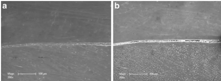 Fig. 7 Typical sample with failing interface in cervical dentin; when present, debonding did occur above the hybrid layer