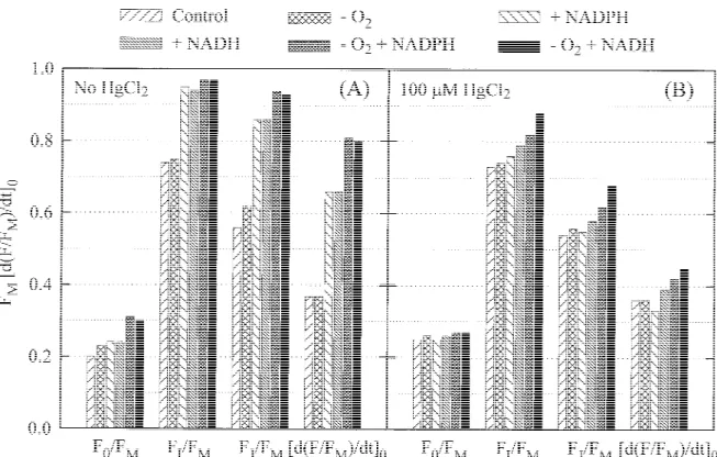 Figure 4. Selected parameters (see legend of Figure 2) characterising the fluorescence rise kinetics, calculated from the fluorescence transients obtained from osmotically broken spinach chloroplasts that were incubated for 60 min at room temperature in th