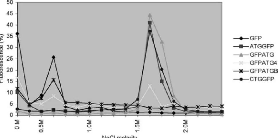 Figure 5. The FGF2 C-terminus is required for heparin binding. Heparin-bound cell extracts of ATGGFP-, GFPATG- and CTGGFP-trans- CTGGFP-trans-fected cells eluted at 1.5 M NaCl, whereas C-terminal deletions severely afCTGGFP-trans-fected this heparin-bindin
