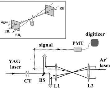FIGURE 1 Experimental setup for temperature measurement by LIGs;