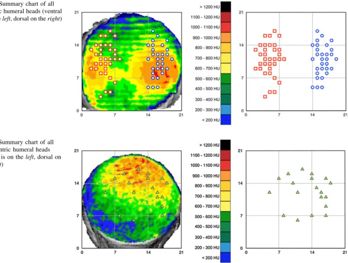 Fig. 2 Summary chart of all bicentric humeral heads (ventral is on the left, dorsal on the right)