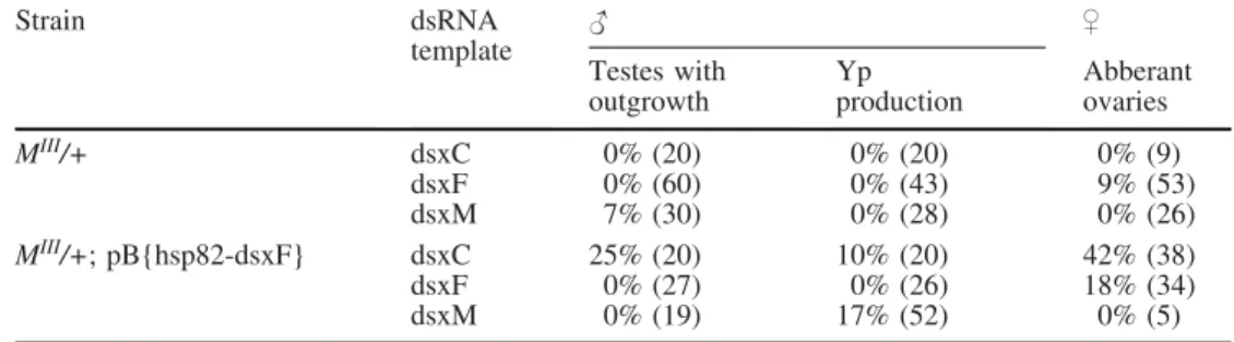 Table 2 Effects of dsx RNAi in Musca. The total number of adult flies examined is in parentheses (yp yolk protein)