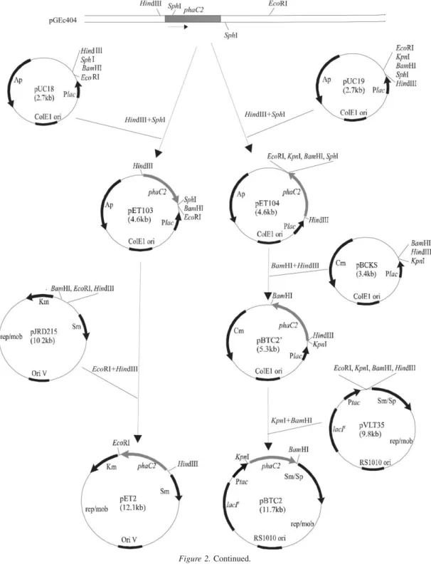 Figure 2. Continued.