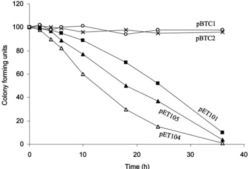 Figure 3. Stability of phaC containing plasmids in E. coli. E. coli recombinants JMU193 carrying pET101, pET104, pET105, pBTC1 and pBTC2 were grown on minimal media containing 2 mM hexadecanoate and 0.2% yeast extract with relevant antibiotics 共 ampicillin