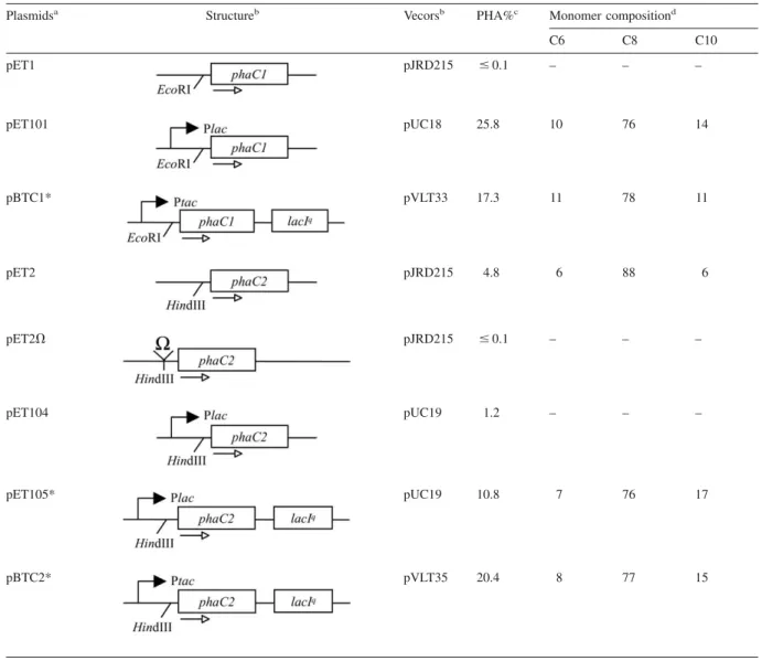 Table 1. PHAs produced in E. coli JMU193 carrying different phaC expression plasmids