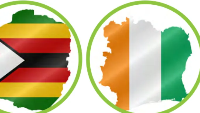 Figure 3 Emblème   des Nations unies 