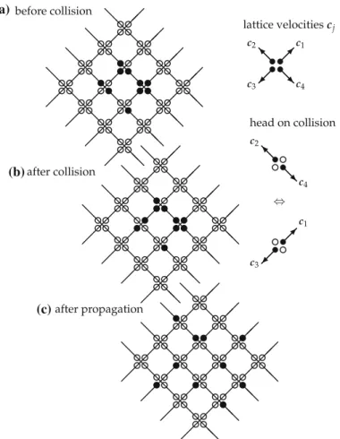 Fig. 1 HPP: collision and propagation. Filled circles denote occupied cells and open circles empty cells.