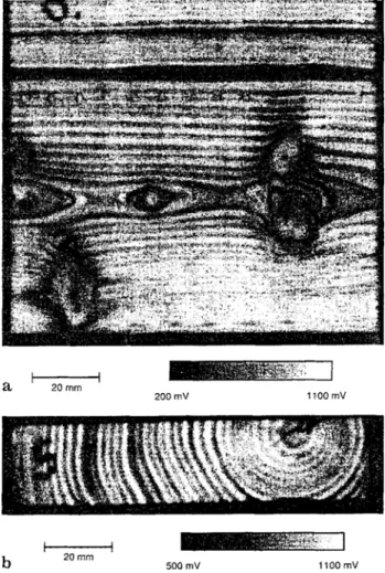Fig.  1. Ultrasonic imaging of a wood  surface  in refection mode  (pine containing knots): a  face  side  (radial view); b  narrow sur-  face (cross  section) 
