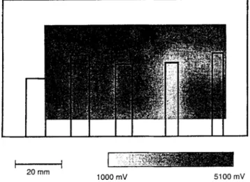 Fig. 2. Ultrasonic image of an  MDF sample containing bore holes  of different diameters