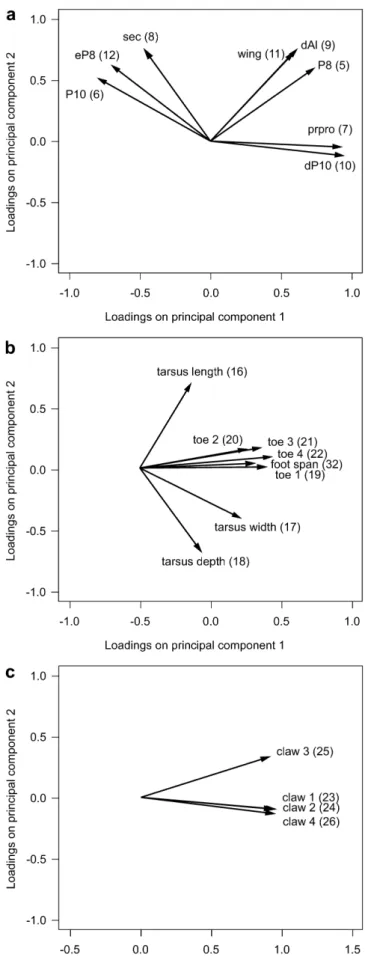 Fig. 1 Loading plots for the ﬁrst two principal components: a of the wing measurements (PC 1: k=4.499, 56.23% of variance; PC 2: