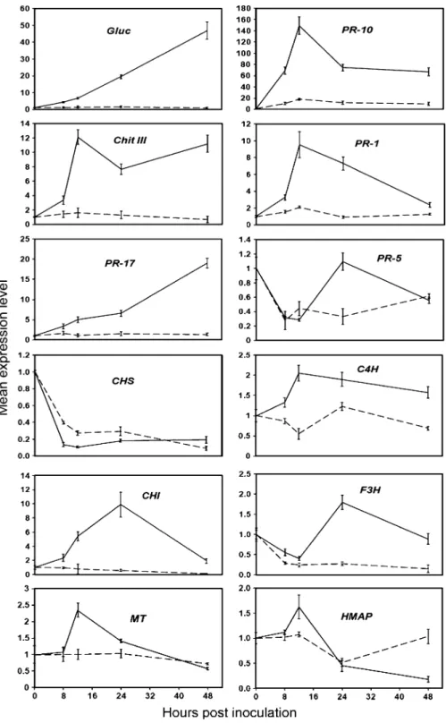 Fig. 3 Reverse transcrip- transcrip-tase quantitative real-time PCR (RT-qPCR) analysis of transcript accumulation in grapevine in response to P.