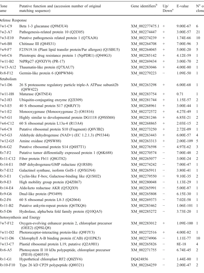 Table 2 Identification of P. viticola-responsive genes isolated from the SSH library in grapevine after glass slide microarray screening Clone